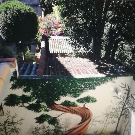 Suite Volupte Classee 3 Etoiles Avec Vue Sur Jardin, Climatisation Montpellier Exteriör bild